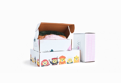 Why Customized Mailer Packaging Durability is Essential for Shipping